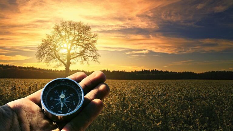 Vikram Solar IPO Listing: 2% प्रीमियम पर हुई ₹332 के शेयरों की एंट्री, 56 गुना मिली थी आईपीओ को बोली