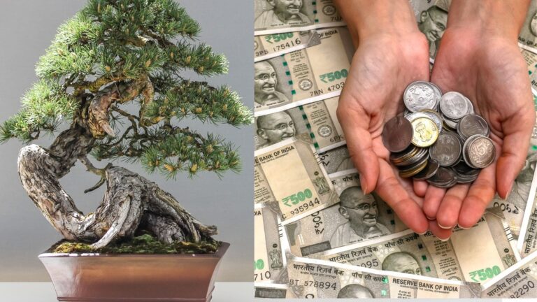 Business Idea: 20 हजार की पूंजी से शुरू करें ये गजब का बिजनेस, हर महीने होगी लाखों की इनकम