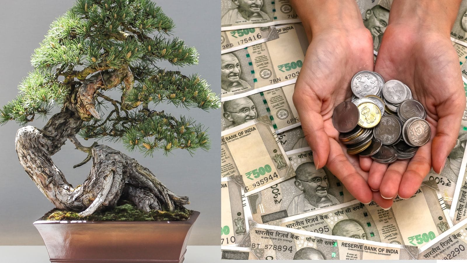 Business Idea: 20 हजार की पूंजी से शुरू करें ये गजब का बिजनेस, हर महीने होगी लाखों की इनकम