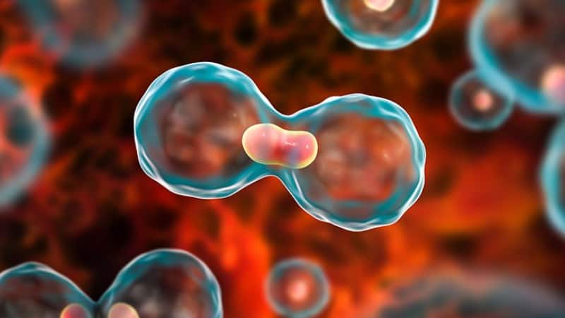 Cancer: शरीर में कैसे फैलता है कैंसर ? जानिए इसके विभिन्न चरण और शुरू होने की प्रक्रिया