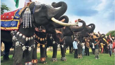 World Elephant Day: लाखों के गहनों में सजे हाथी, जयपुर का विश्व हाथी दिवस पर भव्य फैशन शो