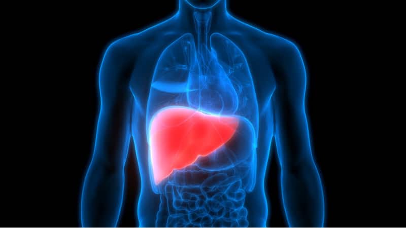 Fatty liver: फैटी लिवर के हो सकते हैं ये खतरनाक संकेत, नजरअंदाज करना साबित हो सकता है गलत