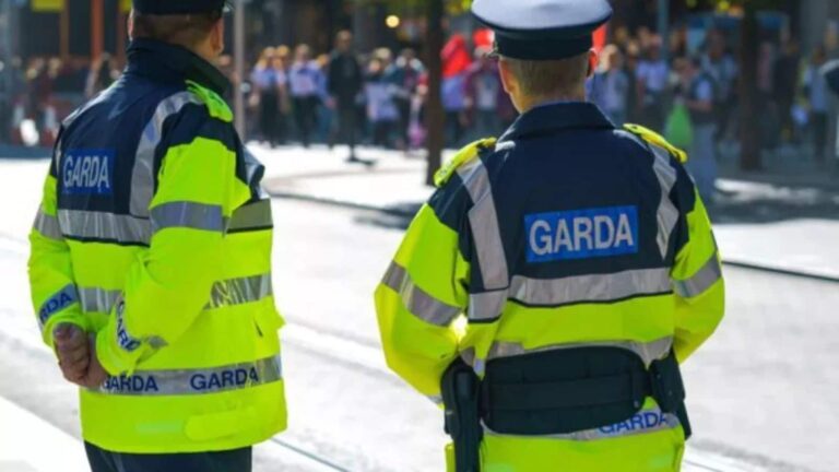 'प्राइवेट पार्ट पर मुक्का मारा, बाल मरोड़े...'; आयरलैंड में 6 साल की मासूम बच्ची पर नस्लीय हमला, मां ने बताई आपबीती