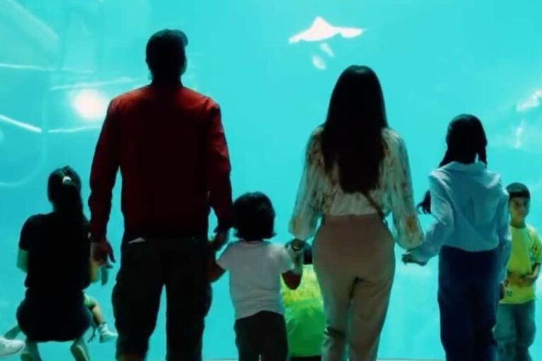 क्रिकेटर का जब 21 साल की नीलम परी पर आया दिल, हसीना ने रख डाली ऐसी अजीब शर्त