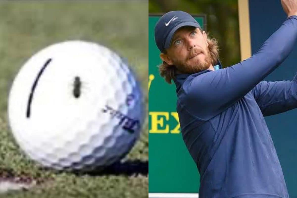 मख्खी ने जिताया 17 करोड़, बॉल पर बैठकर बदल दिया मैच का नतीजा