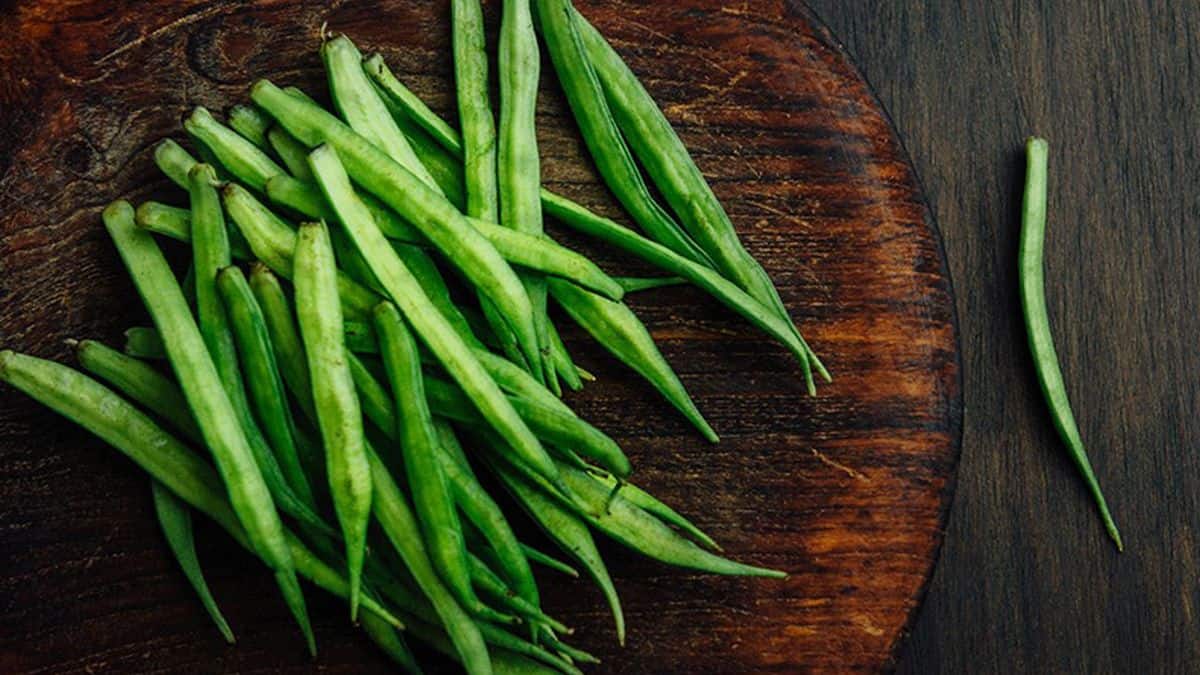 Guar Pack: 3 महीनों की तेजी के बाद ग्वार पैक में दिखा दबाव, जानें आगे कैसी रहेगी कीमतें