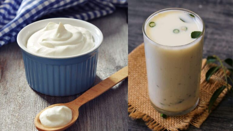 क्या पाचन के लिए दही है नंबर वन या छाछ? पढ़ें पूरी जानकारी