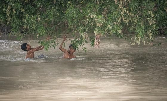 पाकिस्तान में बाढ़ और भारी बारिश से तबाही, सैकड़ों लोगों की मौत