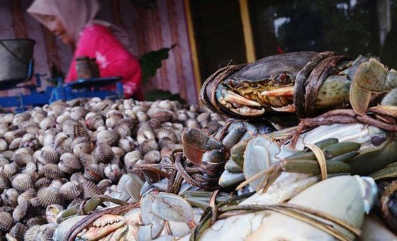 समुद्री भोजन में धोखाधड़ी से निपटने में, परमाणु तकनीक की मदद