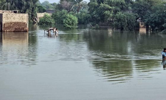 दक्षिण एशिया में मूसलाधार बारिश, भूस्खलन, औचक बाढ़ से बर्बादी