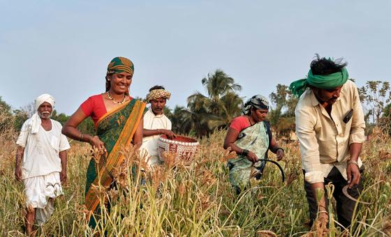 UNDP इक्वेटर पुरस्कार: भारत का स्व-सहायता समूह, 2025 के वैश्विक विजेताओं में शामिल