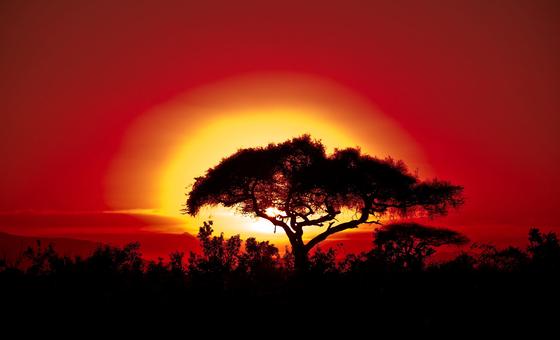 दुनिया भर में पड़ रही है रिकॉर्ड तोड़ गर्मी: WMO