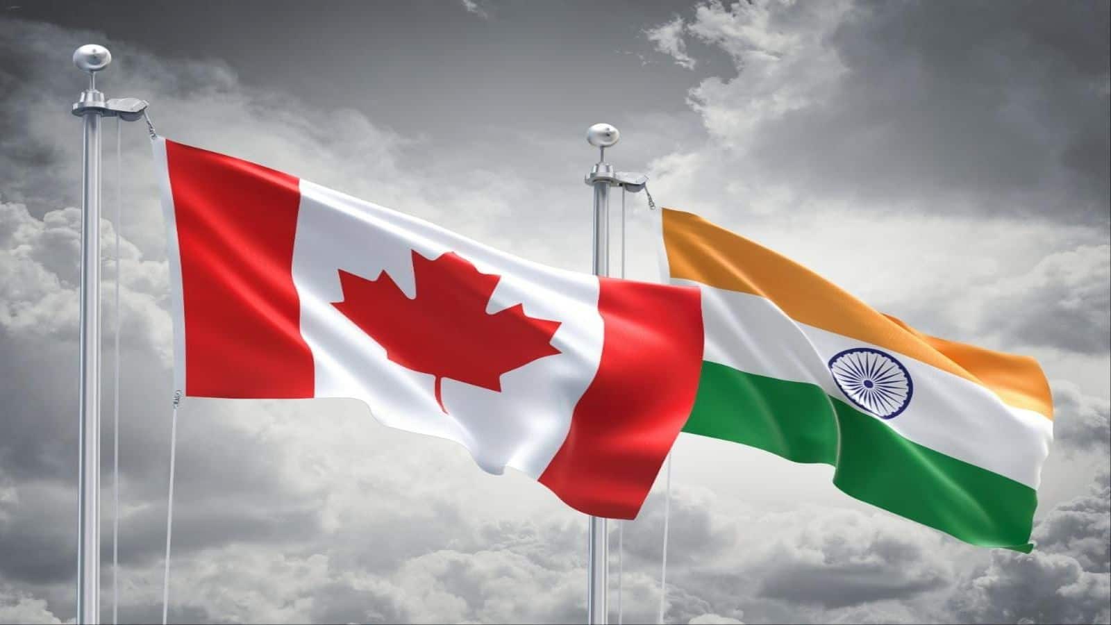 Indian in Canada: कनाडा में 5 सालों में 1,200 से अधिक भारतीयों की हुई मौत, जान जाने के पीछे क्या है वजह?