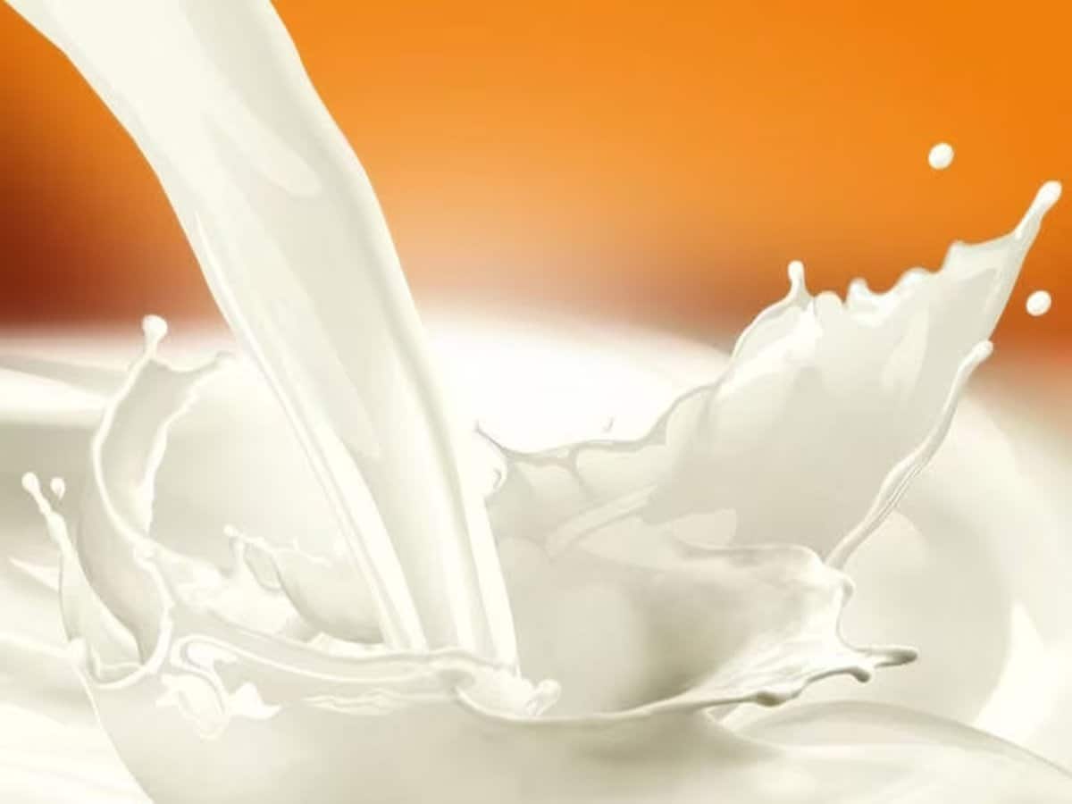 Milk Purity Test: रोज इस्तेमाल होने वाला दूध असली है या नकली? कुछ सेकंड में ऐसे करें पहचान