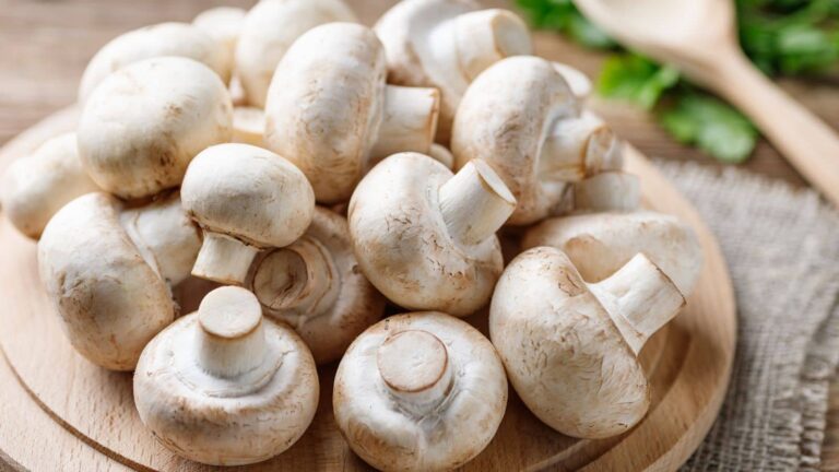 Mushroom: मशरूम दिखते हैं लाजवाब, लेकिन सुरक्षित हैं या नहीं? ऐसे लगाएं पता