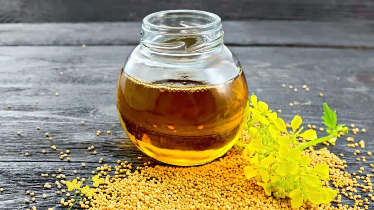 Mustard Oil Latest Price: सरसों के तेल की कीमतों में बढ़त जारी, आखिर कहां जाकर रुकेंगे दाम