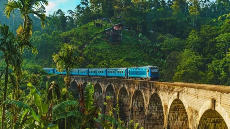 आपने कभी नहीं देखा होगा ऐसा नजारा, जिंदगी में एक बार जरूर अनुभव करें ये भारत की सबसे लंबी और मनोहर ट्रेन यात्राएं जो हर ट्रैवलर को करनी चाहिए