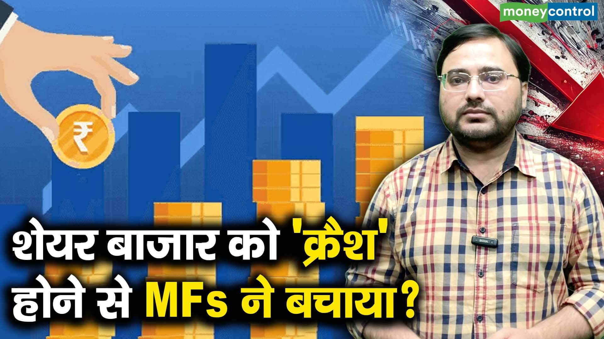 शेयर बाजार को 'क्रैश' होने से MFs ने बचाया?