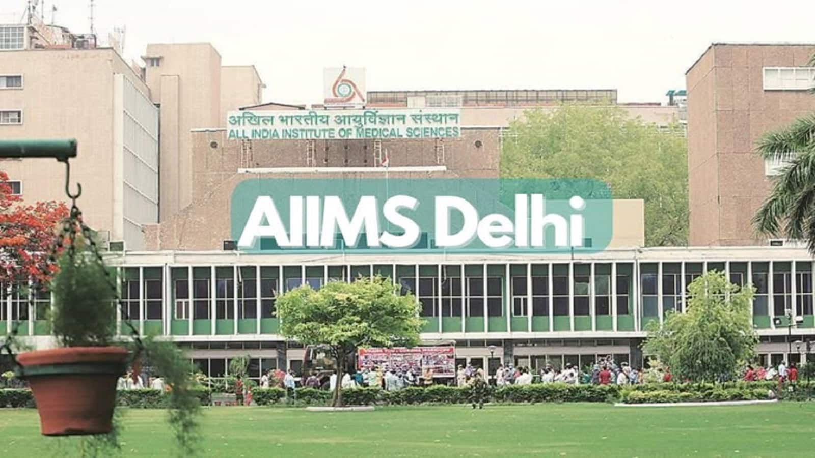 Bioengineered Cornea: AIIMS और IIT Delhi की मेहनत रंग लाई, इस तकनीक से दूर हो सकेगी कॉर्निया की कमी की दिक्कत