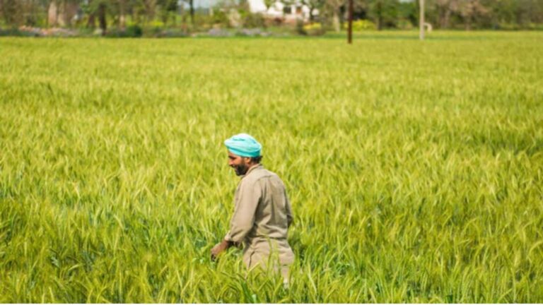 Advance Agrolife IPO: आज से खुल गया ₹193 करोड़ का आईपीओ, क्या आपको लगाना चाहिए दांव? एक्सपर्ट्स से जानिए