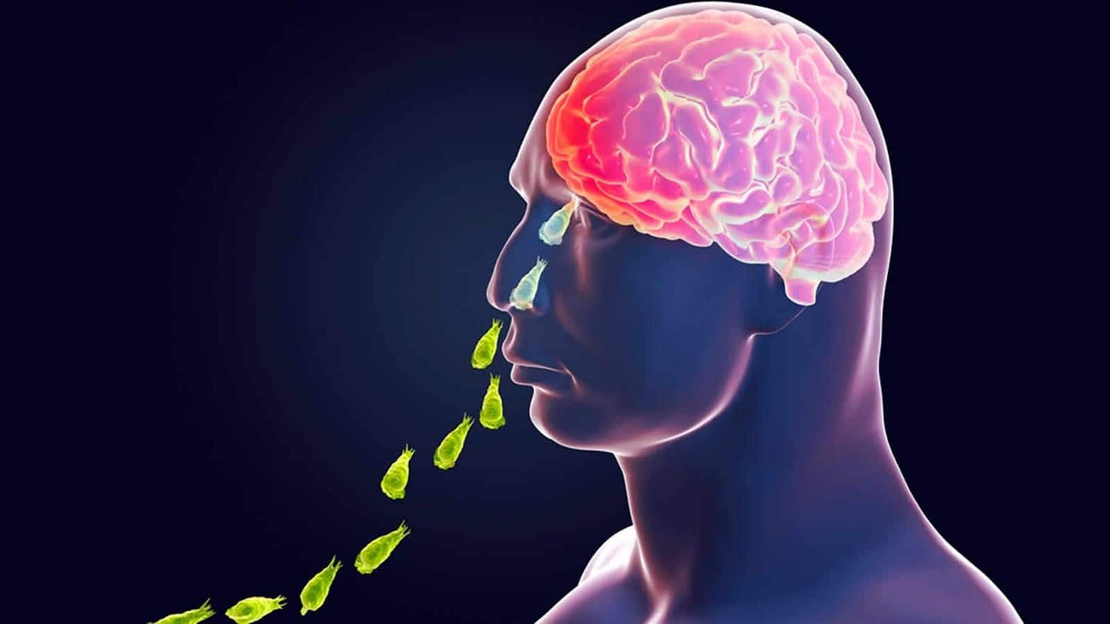 Amoebic symptoms: केरल में 'दिमाग खाने वाले अमीबा' से दहशत! अब तक 20 लोगों की मौत, जानें- इस जानलेवा वायरस के क्या है लक्षण