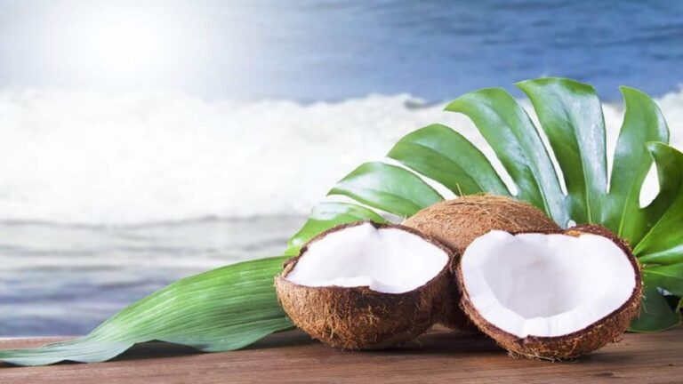 World Coconut Day 2025: रोज नारियल खाने से सेहत को हो सकते हैं ये 5 फायदे, जानें इनके बारे में
