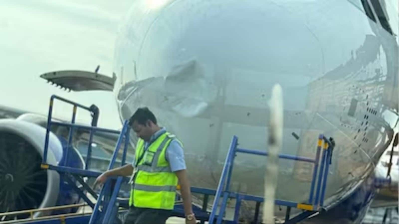 IndiGo Flight Bird Hit: इंडिगो की फ्लाइट से टकराया पक्षी, 272 यात्रियों को लेकर नागपुर लौटा विमान, टला बड़ा हादसा