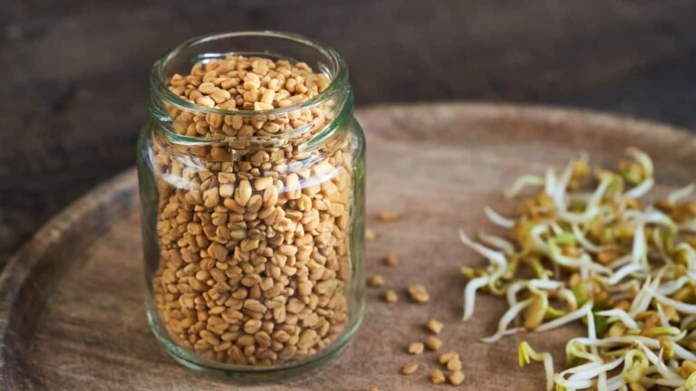 Methi For Weight Loss: खाली पेट पिएं ये पानी, 30 दिन में पिघल जाएगी जिद्दी चर्बी और मिलेंगे 8 जबरदस्त फायदे