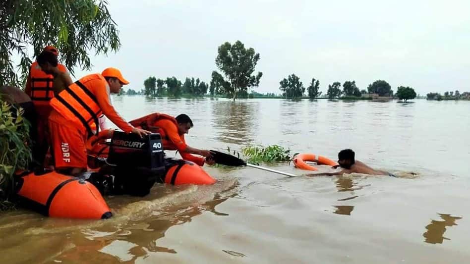 Punjab Floods: 1000 गांव डूबे, 3 लाख लोगों को छोड़ना पड़ा घर...बाढ़ से पंजाब में भीषण तबाही, जानें अब कैसे हैं हालात