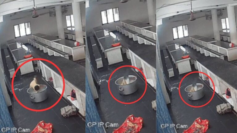 बिल्ली के पीछे भागती-भागती खौलते दूध के भगोने में गिरी 17 माह की बच्ची, हुई मौत; कलेजा कंपा देने वाला VIDEO आया सामने