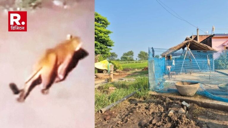 17 दिन में 15 हमले, 4 की मौत... बहराइच में आदमखोर जानवरों का आतंक, दिन के समय भी बच्चे सुरक्षित नहीं