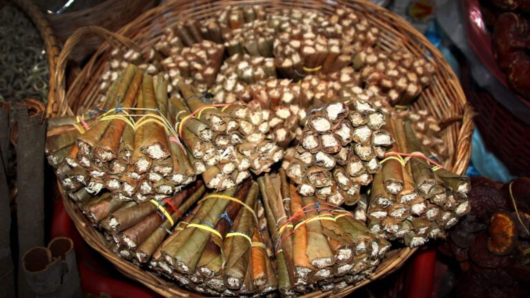 Bidi story: बीड़ी ने कैसे बनाई भारत में अपनी पहचान, जानें पूरा सच