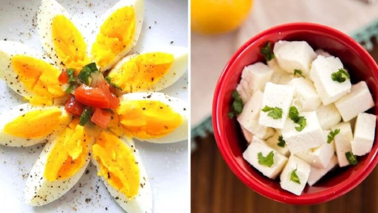 अंडा या पनीर जानें किसमें होता है ज्यादा प्रोटीन, वेट लॉस के लिए क्या है सही?