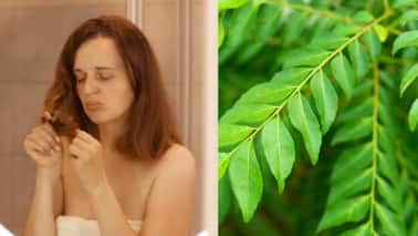 Hair Care: करी पत्ता है बालों के लिए प्रकृति का जादू, इसे यूज करते ही झड़ते बालों और डैंड्रफ से मिलेगा छुटकारा