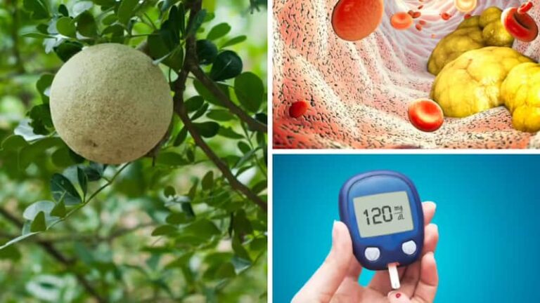 Health Tips: डायबिटीज से लेकर कोलेस्ट्रॉल तक का यह फल है रामबाण, जानिए कैथा के ढेर सारे फायदे