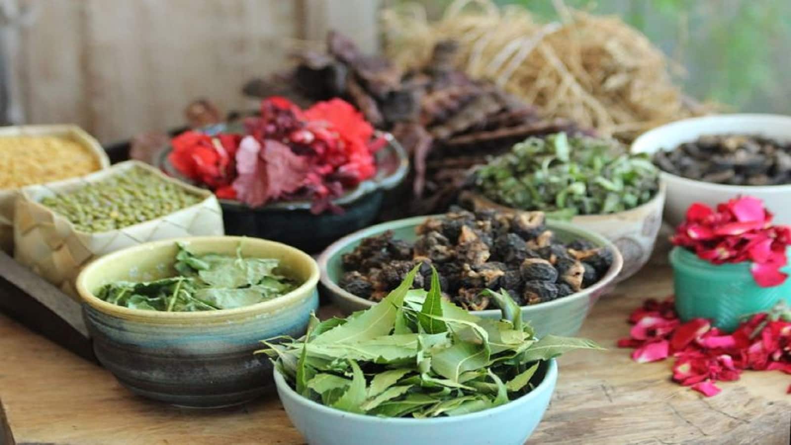 Home Remedies for Healthy Hair: घर में बना सकते हैं ये हर्बल शैंपू, बालों में आएगी ऐसी चमक कि लोग पूछेंगे नुस्खा