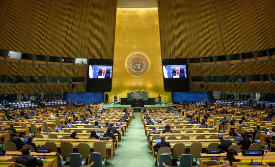 UNGA80: 'ग़ाज़ा, फ़लस्तीनी राष्ट्र का अटूट हिस्सा', इसराइल द्वारा छेड़े गए युद्ध, जनसंहार की निन्दा