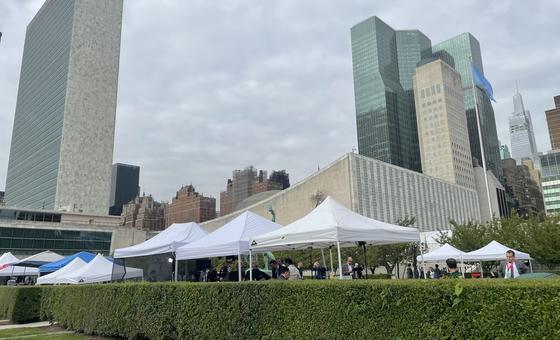 UNGA80: न्यूयॉर्क में यूएन मुख्यालय की कुछ झलकियाँ