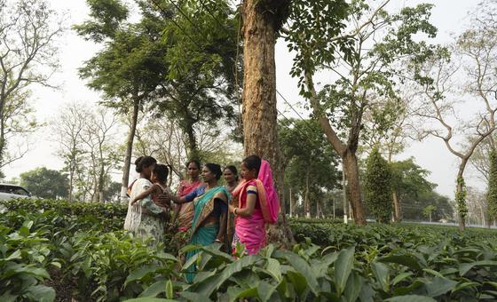 समान वेतन ही मौलिक अधिकार और सतत विकास की नींव, UN Women