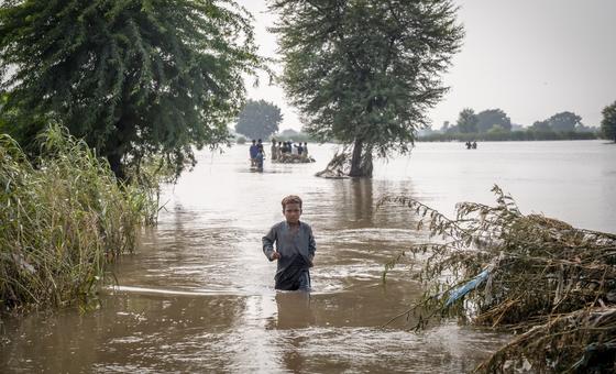 पाकिस्तान बाढ़ से बेहाल, लाखों लोग बेघर