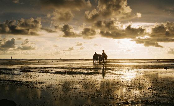 ठंडक लाने वाले 'ला नीन्या' प्रभाव की हो सकती है वापसी, 'मगर नहीं थम पाएगी तापमान वृद्धि'