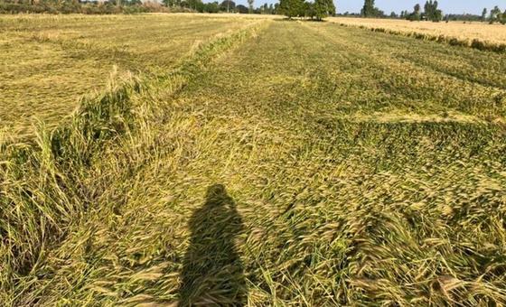 कठिन मौसमी हालात, अडिग किसान: फ़सल बीमा और टैक्नॉलॉजी से मिला सहारा