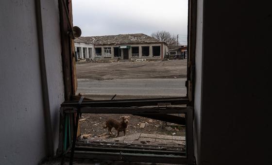 यूक्रेन: रूसी हमले में बुज़ुर्गों समेत 20 की मौत, 'लड़ाई में तबाह हो रहे हैं जीवन'