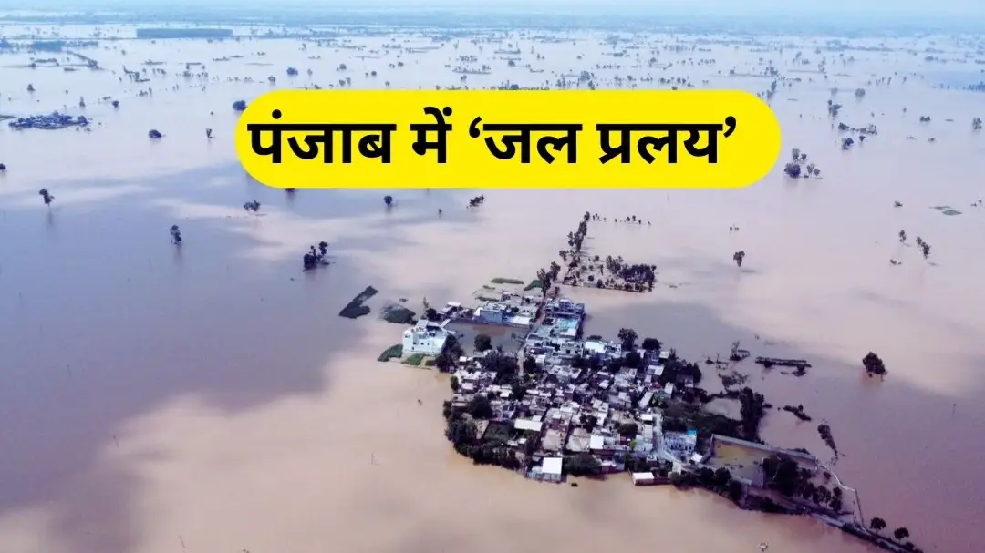 पंजाब में भारी बारिश और बाढ़ से हाहाकार, अब तक 30 लोगों की मौत; सभी 23 जिलों में जनजीवन प्रभावित
