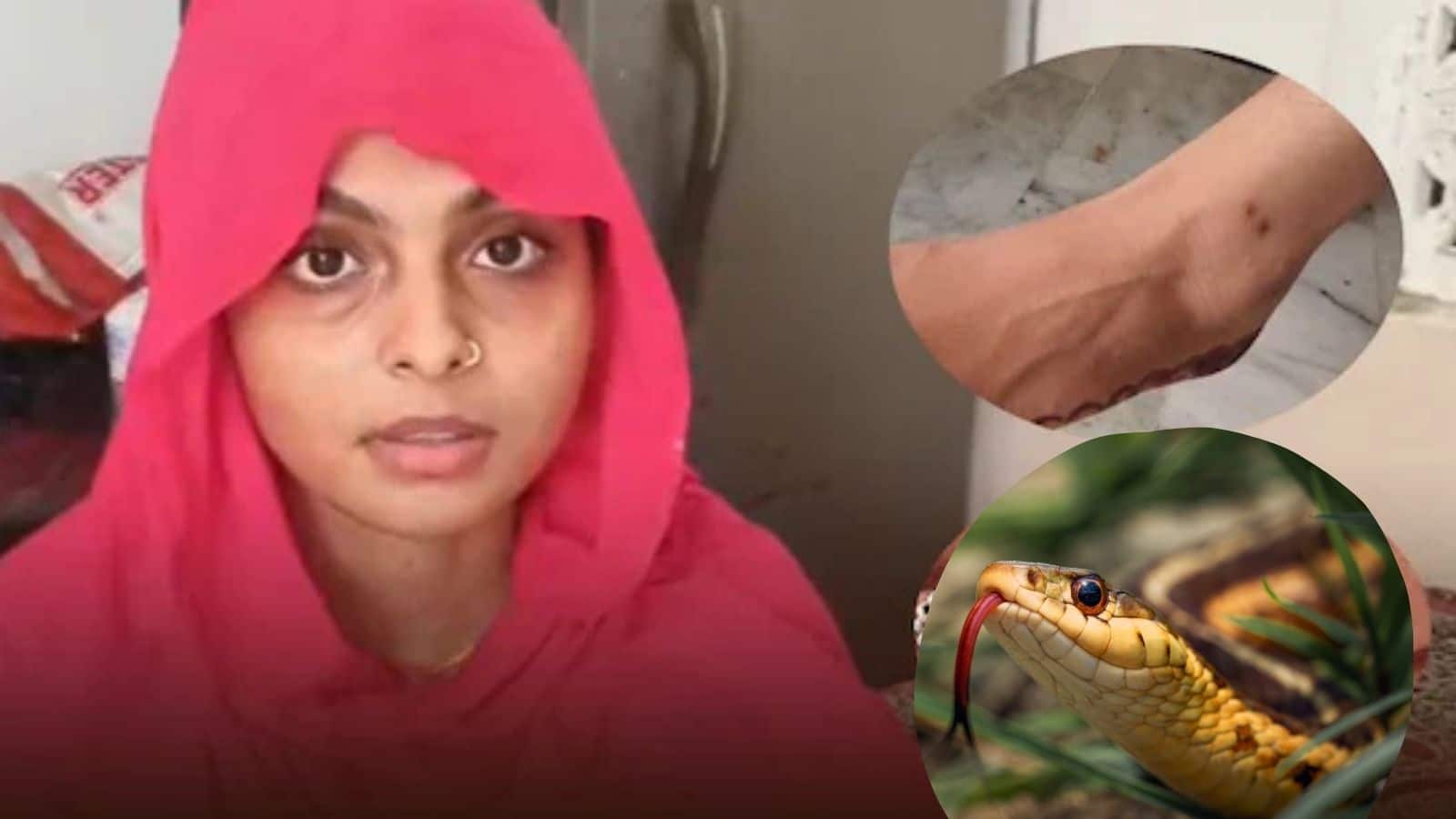 Snake News: सांपों का आतंक! 6 महीनों में 8 बार डसे जाने के बावजूद महिला जिंदा