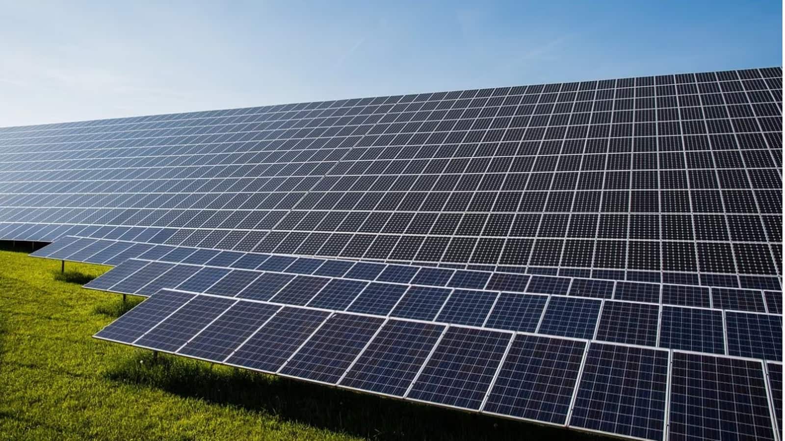 Waaree Energies vs Premier Energies: नोमुरा ने शुरू की कवरेज, किसमें निवेश पर मिलेगा अधिक मुनाफा?