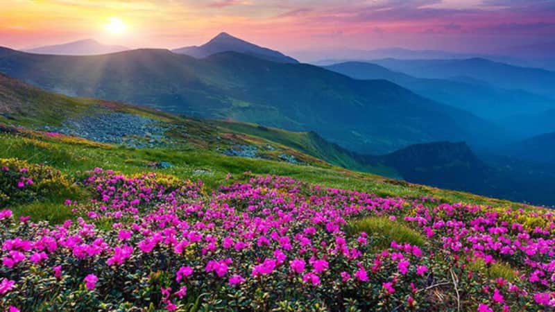 Travel Destinations: क्या आप भी सितंबर में घूमने का कर रहे हैं प्लान? तो जरूर जाएं ये खास जगहें जो आपके ट्रिप को बनाएंगी यादगार
