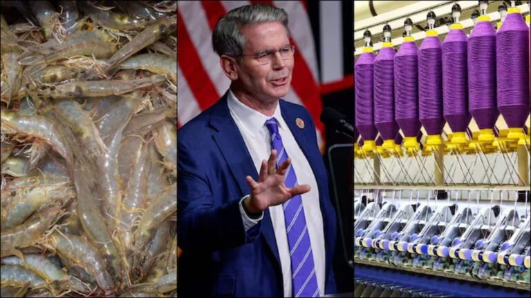 अमेरिकी वित्त मंत्री ने कहा 'दो महान देश मिलकर समस्या का समाधान निकालेंगे', इन दो शेयरों को लगे पंख!