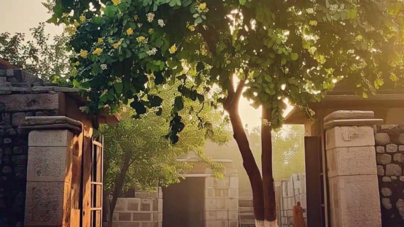 Vastu Tips: घर के मेन गेट पर भूलकर भी न लगाएं ये पौधे, वरना घर में आएंगी परेशानियां