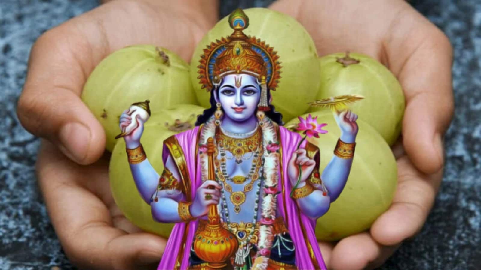 Amla Navami Vrat Katha: आज अक्षय नवमी पर जरूर पढ़ें ये व्रत कथा, जिसे सुना श्रापमुक्त हुआ था ब्रह्मणपुत्र